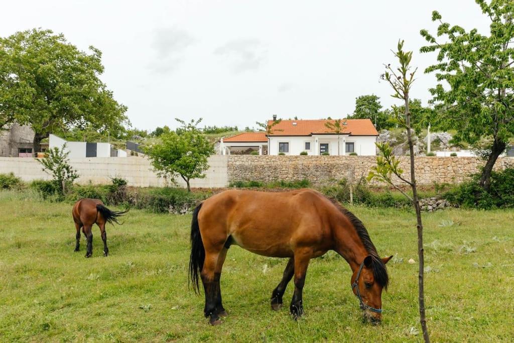 Villa Lozo, Prolozac Gornji Gornji Prolozac Eksteriør billede