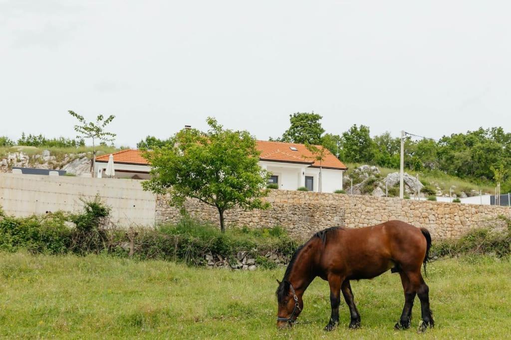 Villa Lozo, Prolozac Gornji Gornji Prolozac Eksteriør billede